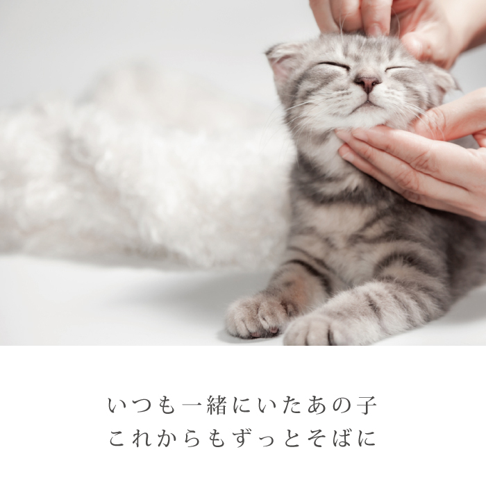 メモリアルジュエリー ストーンサークル これからもずっとそばに
