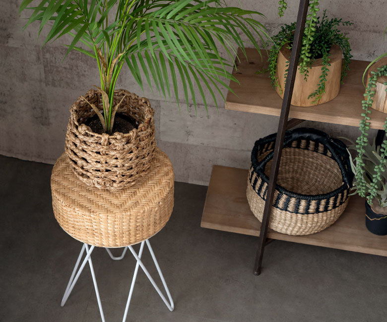 ナチュラルなラタンは植物と相性抜群！