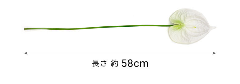 商品詳細