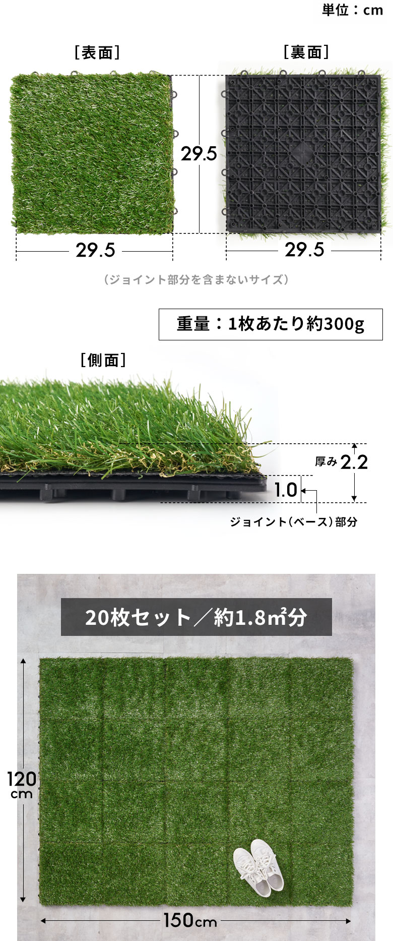 サイズ