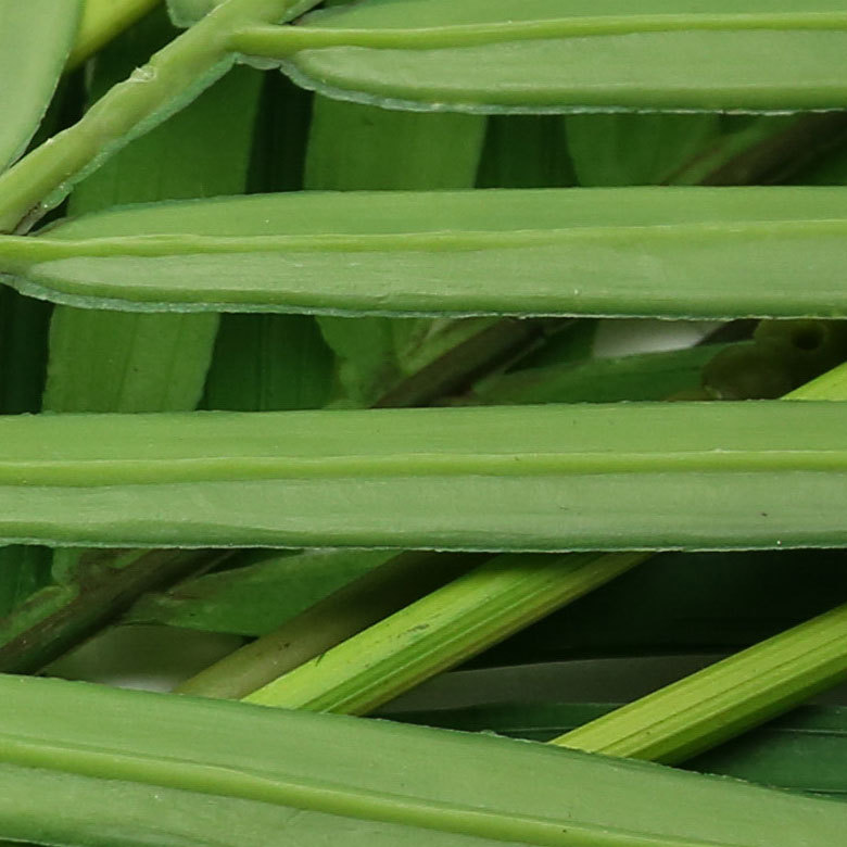 本物そっくりのフェイク植物