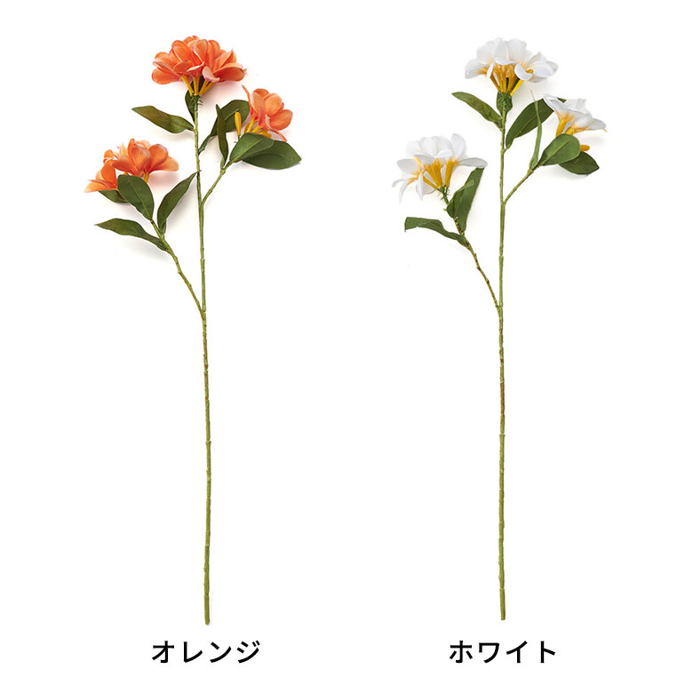 色展開