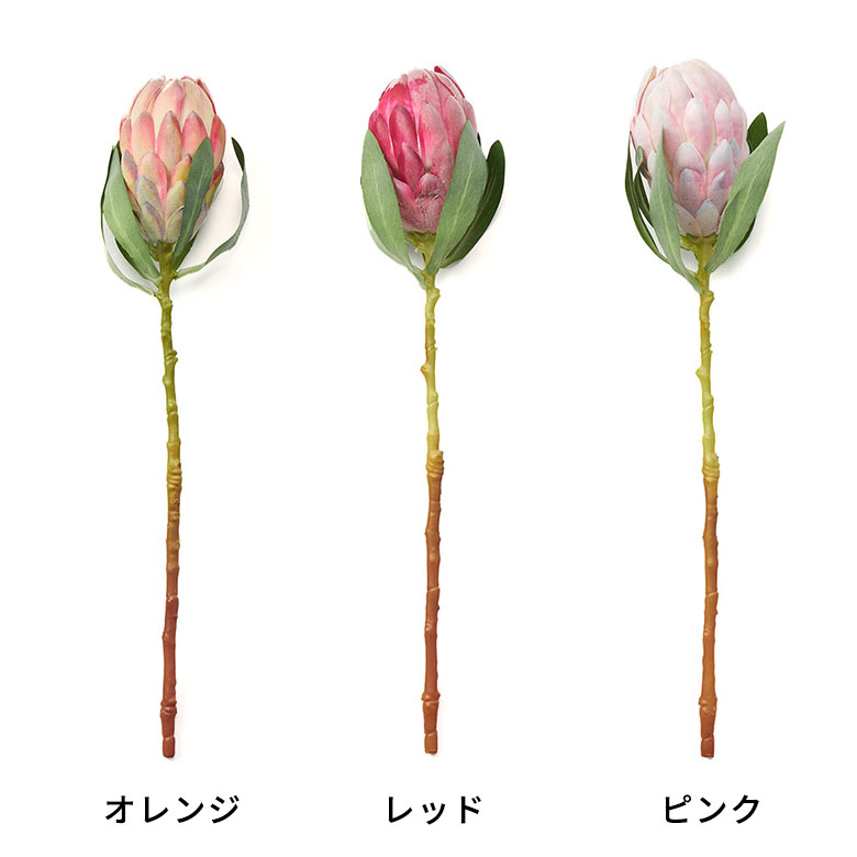色展開