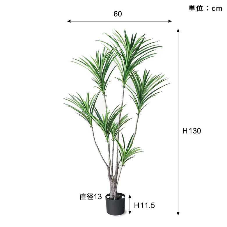 サイズ