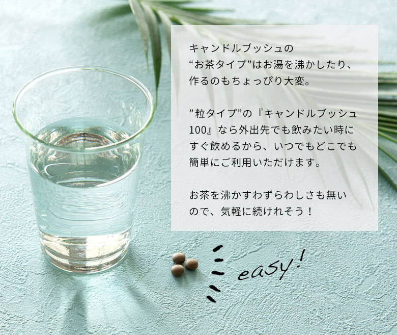 いつでもどこでも簡単にご利用いただけます