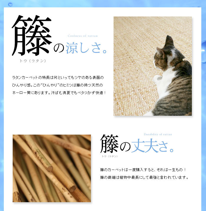 籐あじろ 座布団サイズ 約55×55cm ラタンカーペット AJ100-55X55