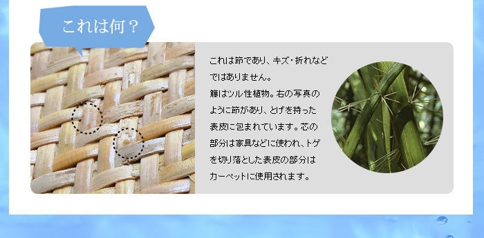 籐あじろ 座布団サイズ 約55×55cm ラタンカーペット AJ100-55X55