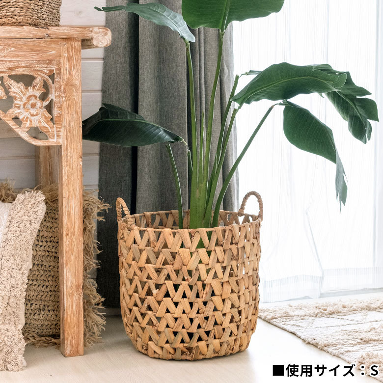 お好きな植物を入れて、お部屋でグリーンを楽しむのも素敵