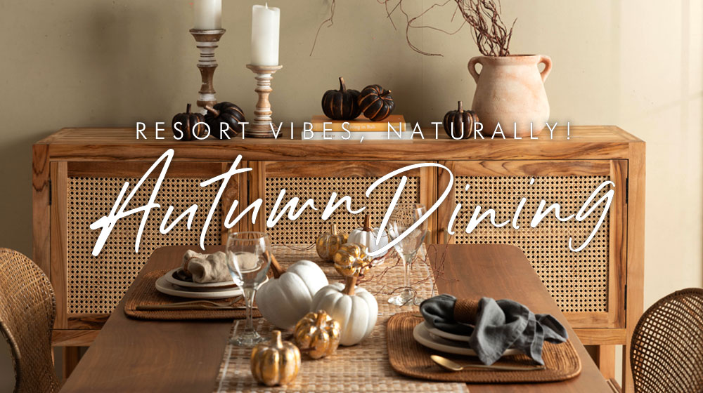 ����̏H�_�C�j���O