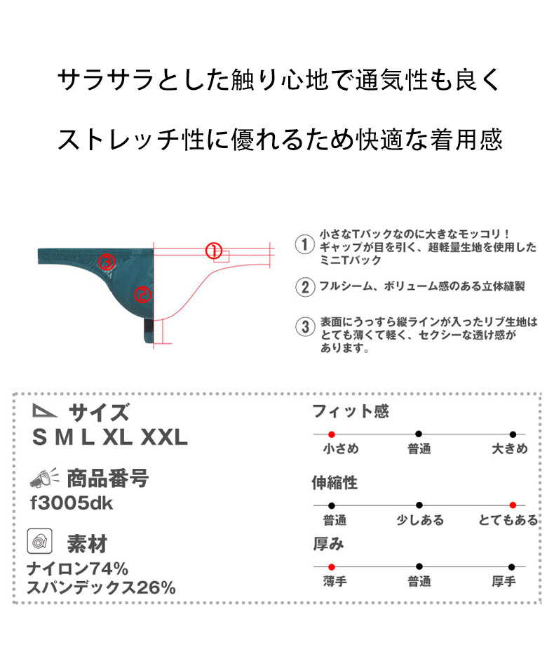 メンズTバック G-Station/ジーステーション 立体縫製 ウルトラライト透けリブ ミニタンガ Tバック メンズTバック ホワイトデー