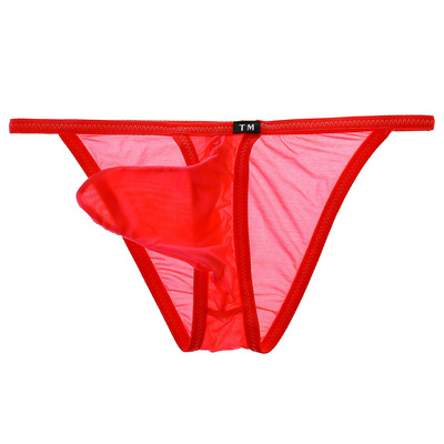 TM COLLECTION Mサイズ メンズビキニ TMコレクション Clearskin micro