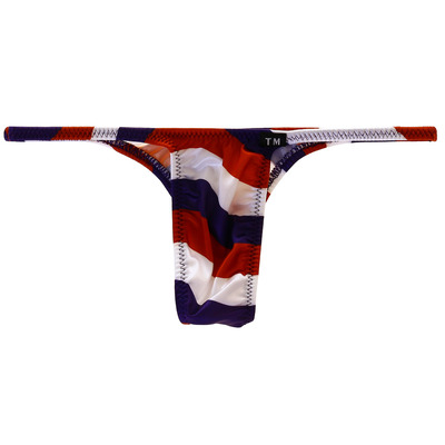 TM COLLECTION Mサイズ メンズビキニ TMコレクション YKS National