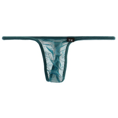 TM COLLECTION Lサイズ メンズTバック TM Collection Clearskin ハギ