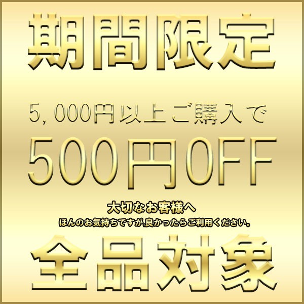 500円ＯＦＦクーポン券