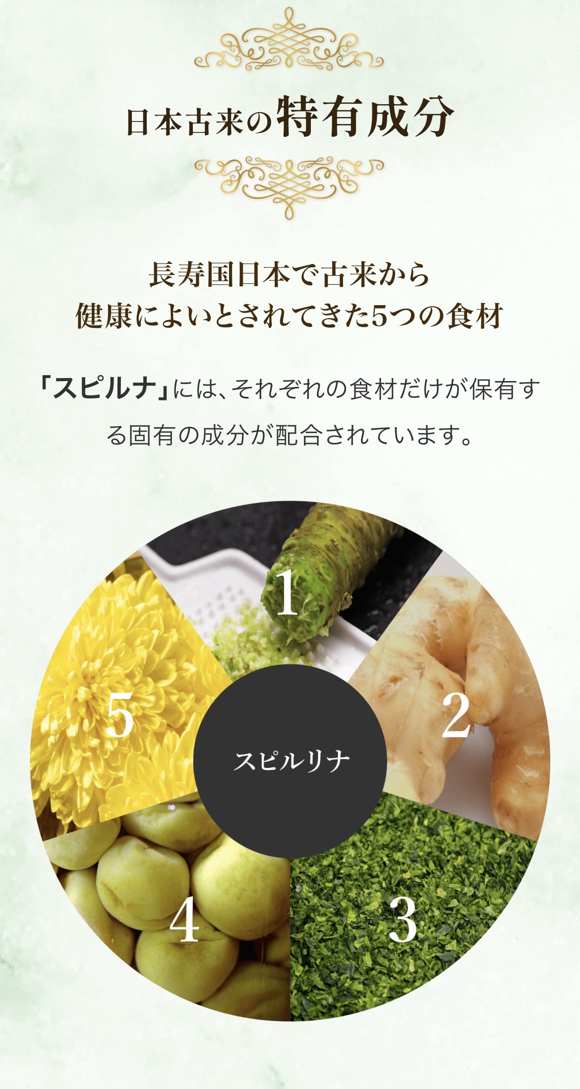 スピルナ SPIRULINA 3億個のエキス (10本入り×5ケース) : ASIAN MAX