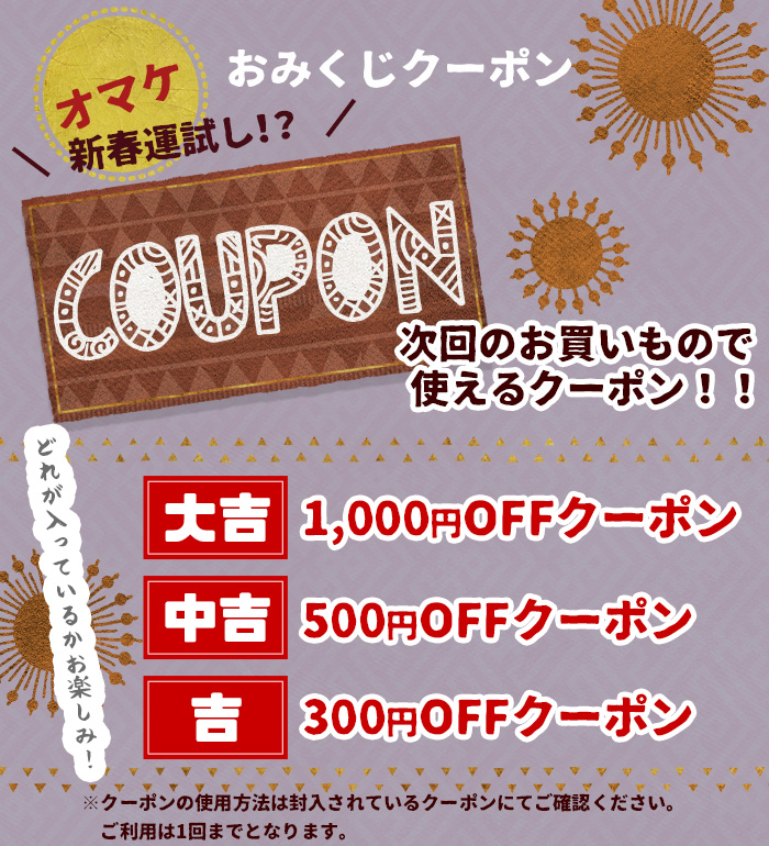 SPT 福袋 ハッピーバッグ 新春 ご好評につき追加販売 ティントン2026年
