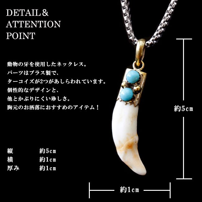 ネックレス メンズ レディース チェーン付 ブラス 真鍮 ターコイズ 牙