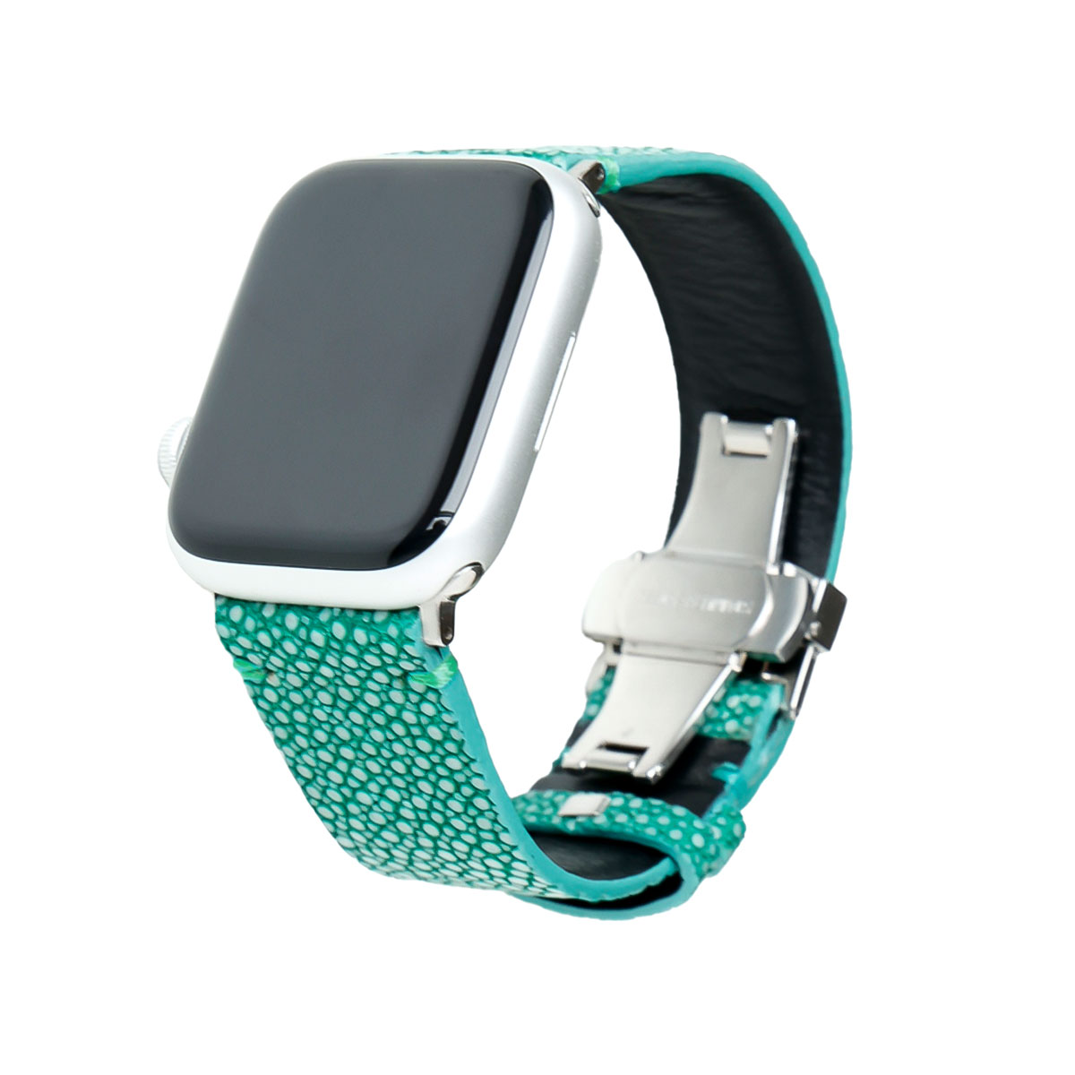 DAYSART（デイズアート） apple watch用 替えベルト スティングレー