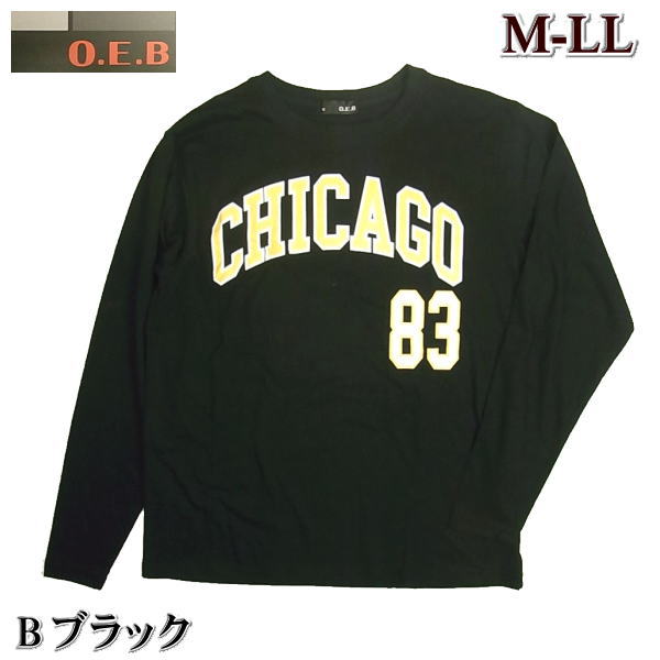 Ｔシャツ 長袖 メンズ アメカジ カレッジプリント 綿混 M L LL XL ロンT 長袖Ｔシャツ ...