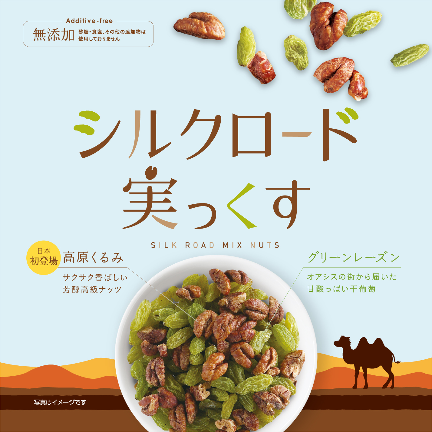 シルクロード実っくす