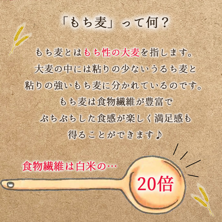 もち麦入り参鶏湯 MCC食品 化学調味料不使用