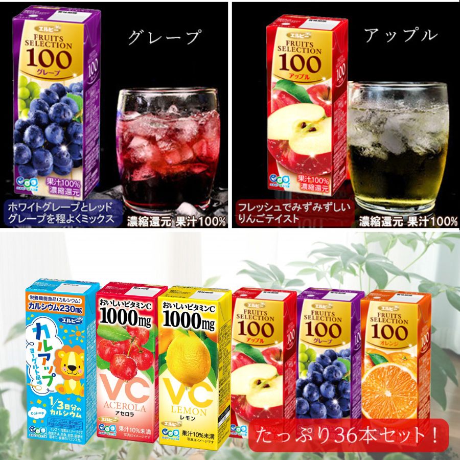 エルビー 紙パック ジュース 6種類36本詰め合わせセット 果汁