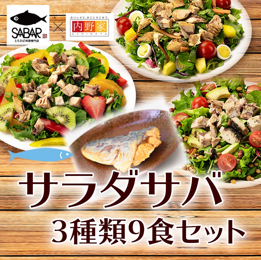高タンパク食品 サラダサバ 3種類9食セット 無添加 uchipac 常温ロングライフ :T65FS3515:自然派ストア Sakura - 通販 -  Yahoo!ショッピング