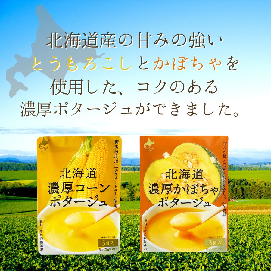 北海道ごぼうスープ30個入り10袋セット