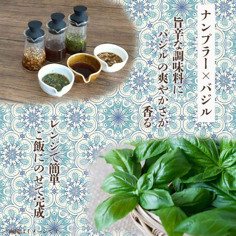ワールドディッシュ タイ風どんぶりご飯 ガパオ