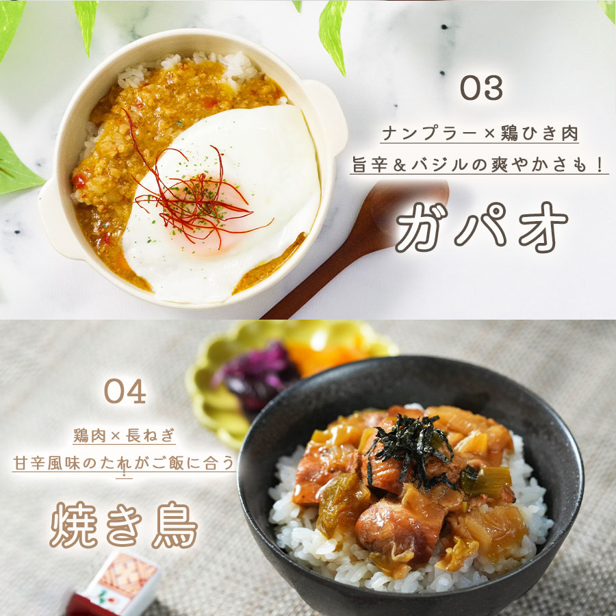 ご飯に合う世界の肉おかず10種セット