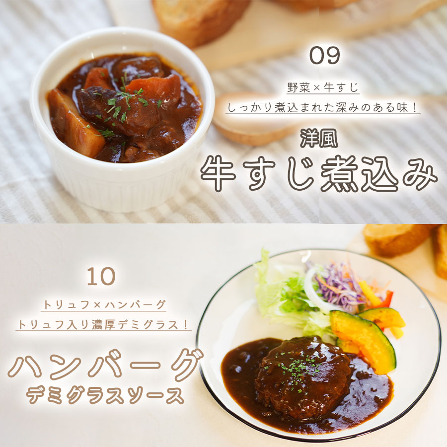 ご飯に合う世界の肉おかず10種セット