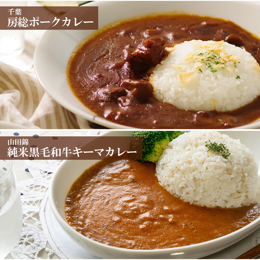 ご当地カレー レトルト お肉のカレー10種類詰め合わせセット