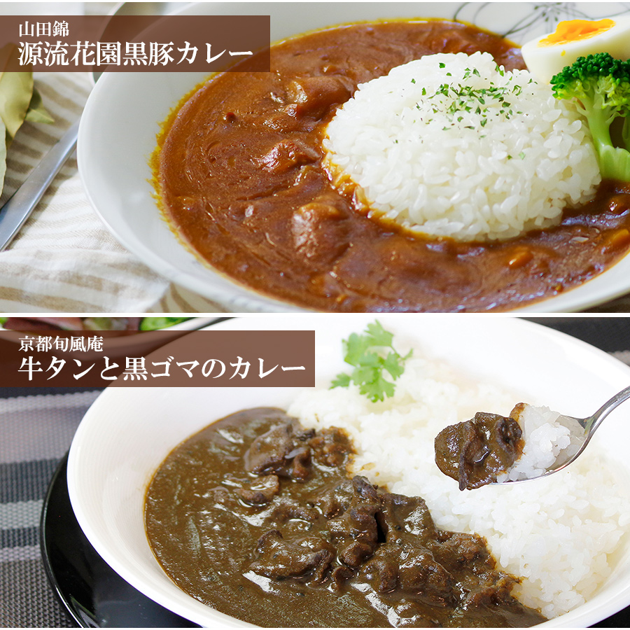 ご当地カレー レトルト お肉のカレー10種類詰め合わせセット