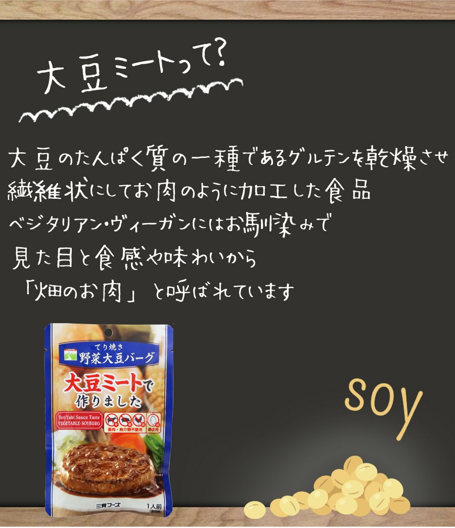 レトルト 惣菜 てり焼き野菜大豆バーグ  100g
