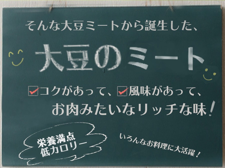 レトルト 惣菜 デミグラス 風野菜大豆バーグ 100g