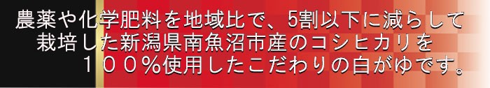 魚沼白がゆ250ｇ (たいまつ食品)