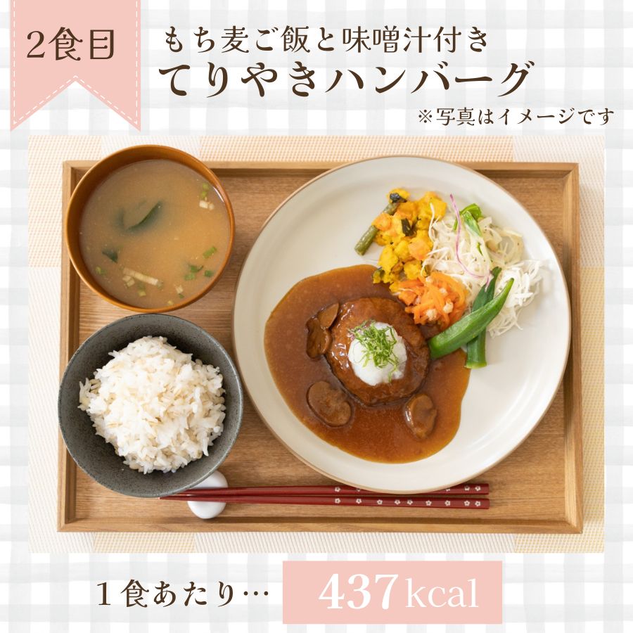 レンジで作るおかず・ご飯・味噌汁 7 食セット