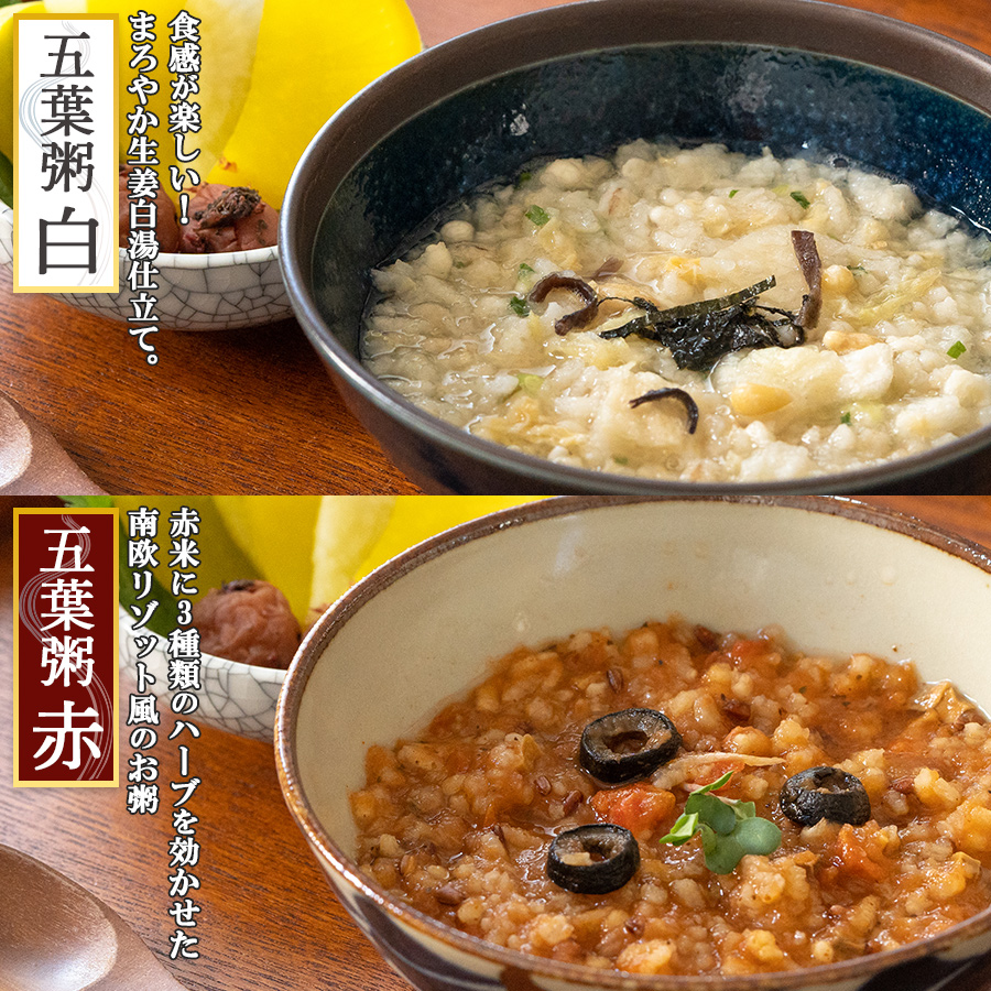 おかゆ 養命酒 永平寺 10種20食セット薬膳お粥 おためし詰め合わせ レトルト フリーズドライ 和漢素材 ギフト お歳暮 お年賀 常温 お見舞い お誕生日 仕送り 母の日 ストック 非常食 健康志向 アソート