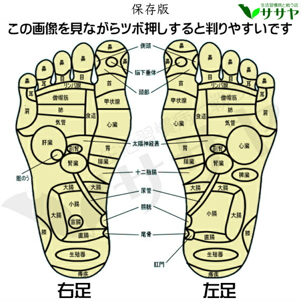 足つぼマット マッサージ ロング 180cm 35cm 1枚 痛い 足裏は第2の心臓 健の路 健康グッズ 血行 生活習慣病と戦う店 Amc Rls Kkg Asm01 L Sa Led アジアンモータース ヤフー店 通販 Yahoo ショッピング