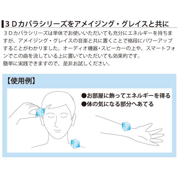 3Dカバラ・パドマキューブ 医学博士 丸山アレルギークリニック 院長