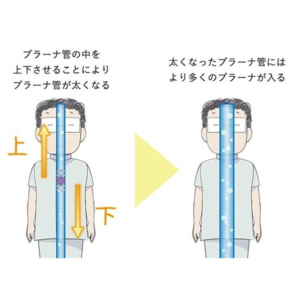 ユニカ WDカバラ クリスタル キーホルダー 医学博士 丸山式 丸山