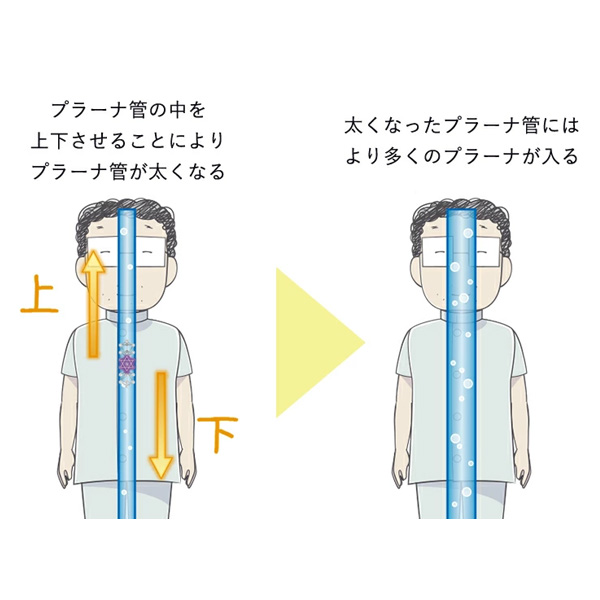 ユニカ 3Dカバラ・WDカバラ クリスタル ユニカ 医学博士 丸山修寛