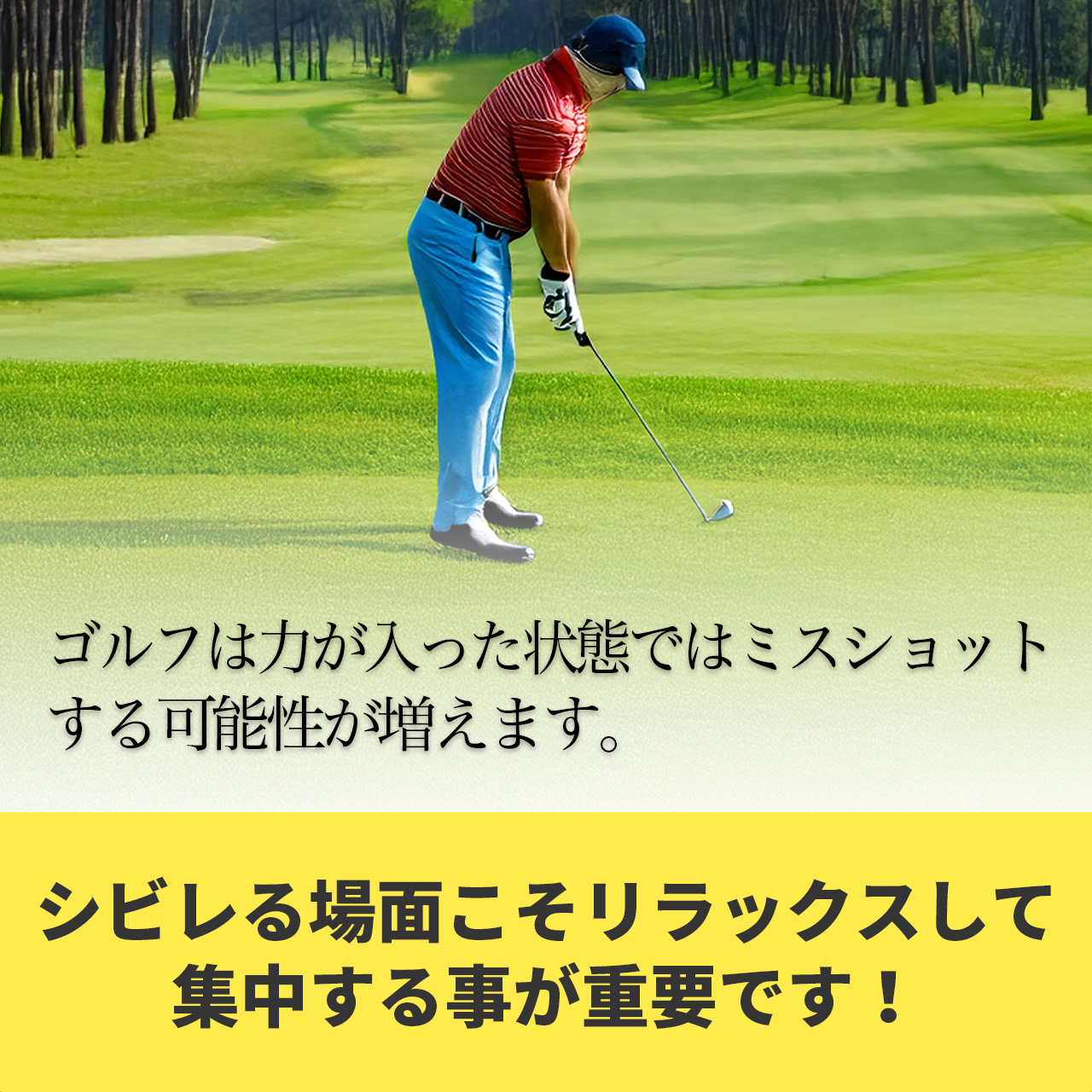 MWJ TOKYO - COLANCOLAN コランコラン｜Yahoo!ショッピング