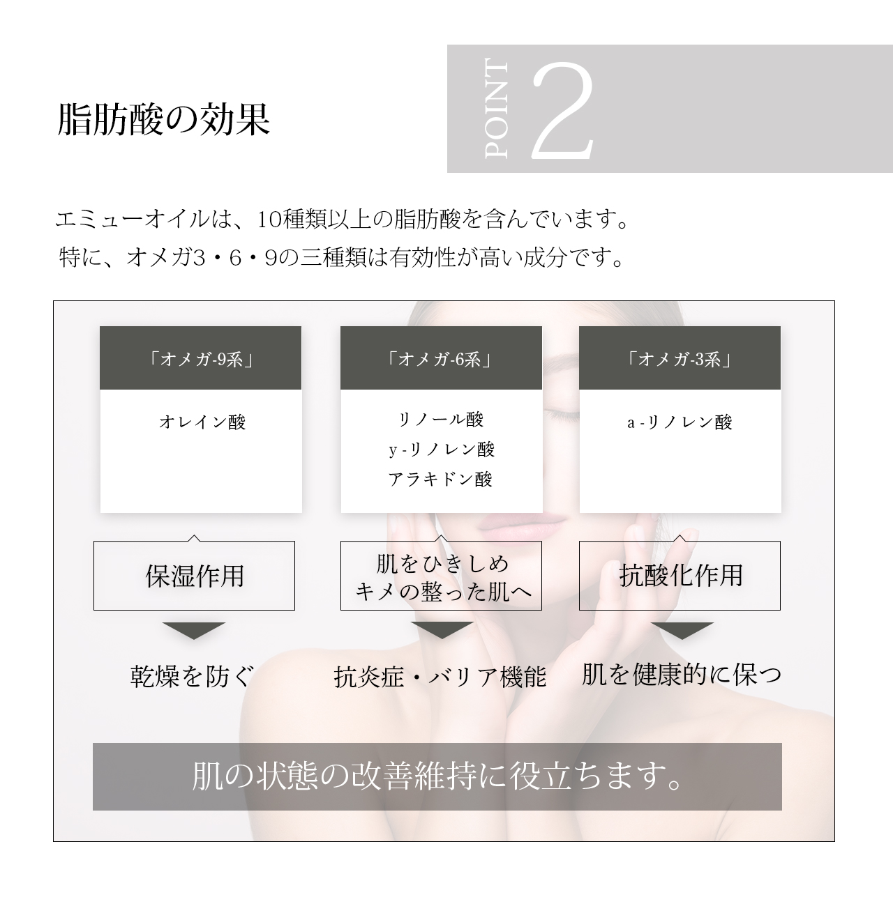 １０種類以上の脂肪酸が含まれ、肌の状態の改善・維持に役立ちます。