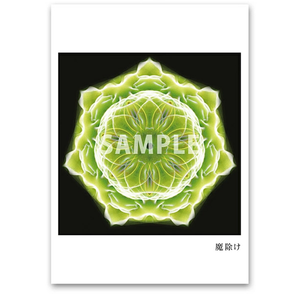 クスリエ 10枚入 ユニカ 医学博士 丸山修寛 監修 : MWJ TOKYO - 通販