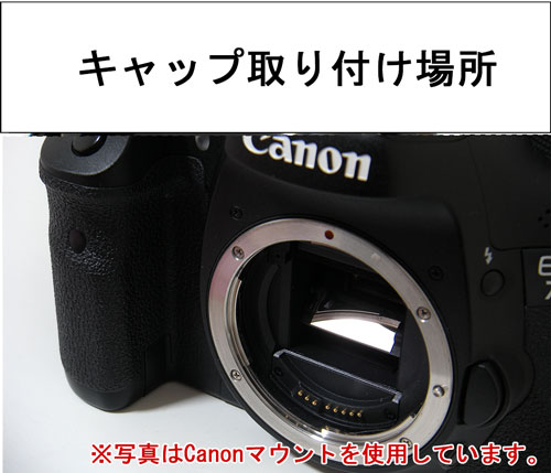 トップ canon eos5dマウントキャップ