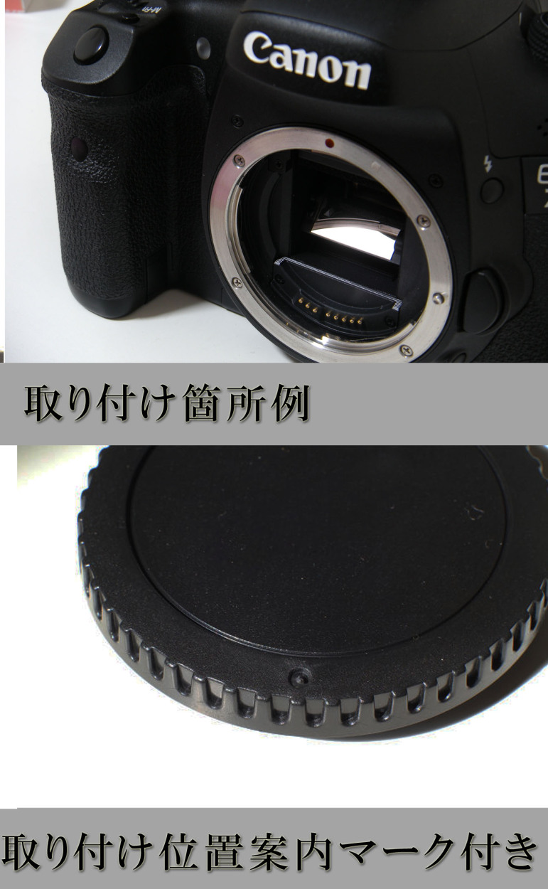 Canon EF EF-S マウント用 レンズダストキャップ  ボディマウントキャップセット】 E DUST-Eレンズ リア キャップ レンズ接点カバー  :bls-ef:NEXT DOOR 通販 