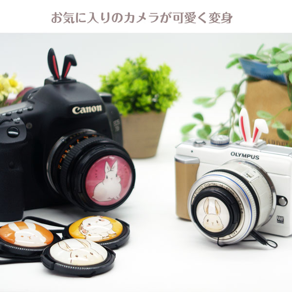 OLYMPUS レンズキャップ 58mmの商品一覧 通販 - Yahoo!ショッピング