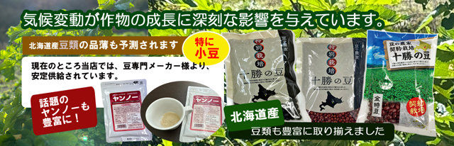 あしか商店 - Yahoo!ショッピング