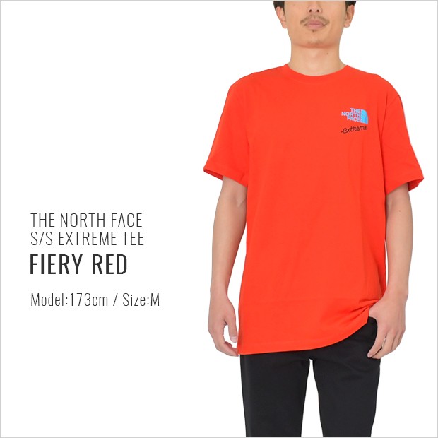 ノースフェイス Tシャツ The North Face Extreme Tee メンズ レディース 大きいサイズ T 1229 Bigg Willie 通販 Yahoo ショッピング